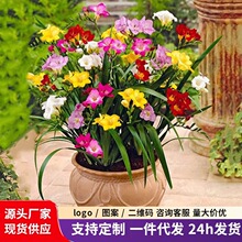 ��ɫ��ѩ�m�N���ذ�С�n�m�N���ļ��_�����B�҃��ͺ����Ի���ֲ��