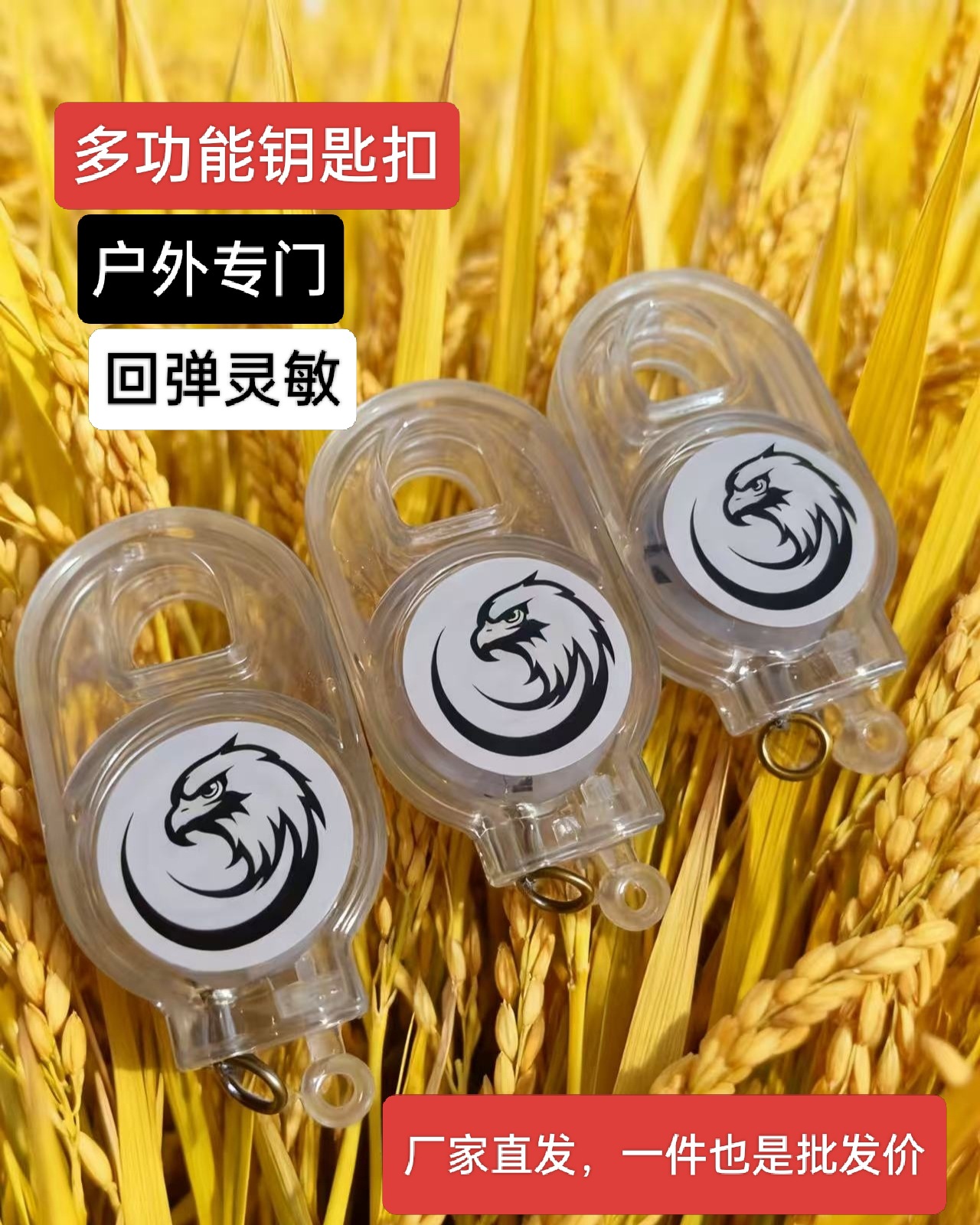 9c69ad7945b4e3e431b8880c9386d5