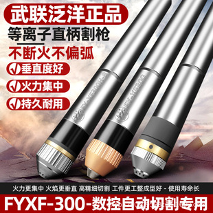 ����FY-XF300Hˮ���и200A���ؙC���и���x��ֱ����Ѹ��