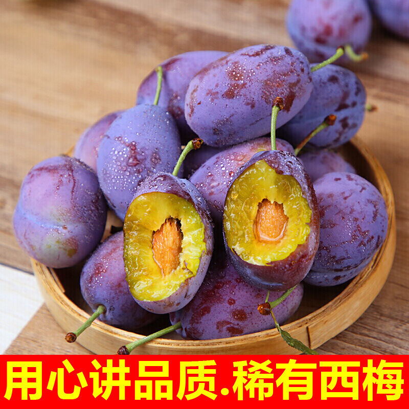Xinjiang Prunes Fresh Fruit Wholesale Seasonal Alpine Prunes Fresh Fruit Plums for Pregnant Women and Babies a Whole Box