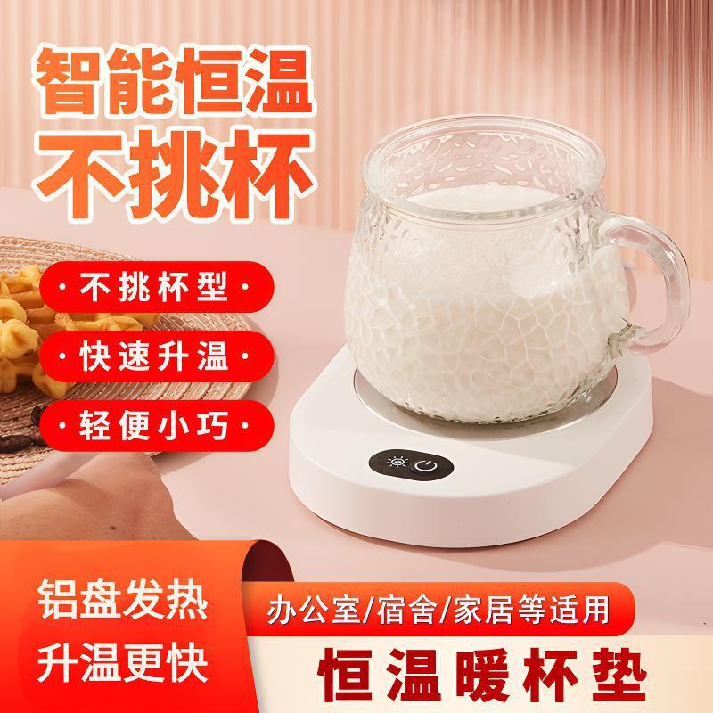 Insulated Flask