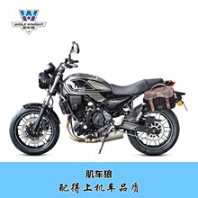 ��܇���m��춴���Z650RS߅���������̄���X�����İ����b������