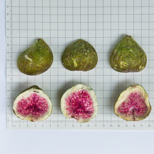 Manufacturer wholesale freeze-dried fig fruit dried snacks cake baking milk tea raw materials freeze-dried fruit wholesale