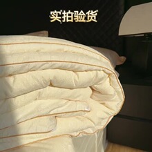 2026新款锁温大豆提花十孔被春秋被冬被子被芯学生大豆冬被被子被