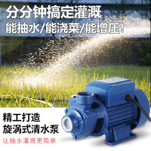 QB60自吸清水泵漩涡式离心泵自来水管道加压泵太阳能增压水泵