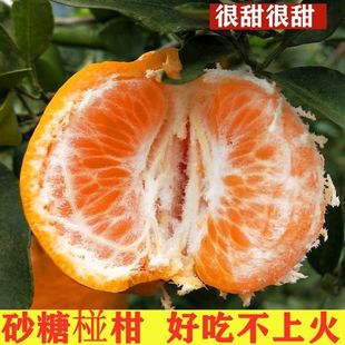 ���óԲ��ϻ𡿺��������Fժ��ɽ�����J�������֭�ЋDˮ�����l