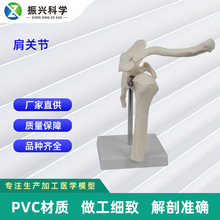 ���w�P��ģ�ͺϼ� ���w����ģ�ͽ̌Wģ�͹����̾�