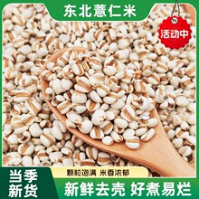 �r��޲������؛����s�Z޲��������ּZ��ζ����С޲����500g�b