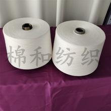 聚乳酸纱40支聚乳酸棉纱聚乳酸粘胶纱具有丝绸般的手感吸湿透气好
