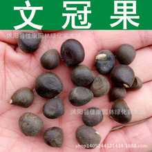 ��ľ�N�� �Ĺڹ��N�� �Ĺٹ� �Ĺ�ľ�N�� 1��=1��