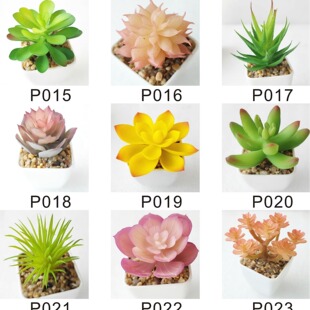 ✅Fleshy fleshy flower head bonsai DIY accessories manufacturers custom color fleshy flower head cover