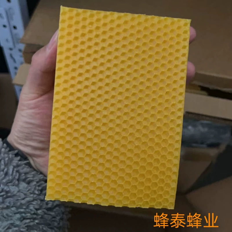 Инструменты для пчеловодства оптом отличное глубокое гнездо Медовое гнездо основа пчелиного специального пчелиного воска чип на основе гнезда соты оптом