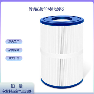 Cross-border SPA bathtub acrylic swimming pool DreamOvalPDM30 pool filter element