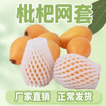 ����ˮ���W�ײ�ɫ���l�����O���W�����˲˻��ֹ���ݮ��ĭ���ӾW��