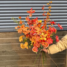 ��ɫϵ���滨���ķ���õ��ٻ���c��Y�üҾ��b����컨õ��