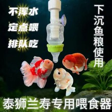 ����ιʳ����׷���ˮ̩ʨ����ר��ιʳ���³�����ιʳ���羳����