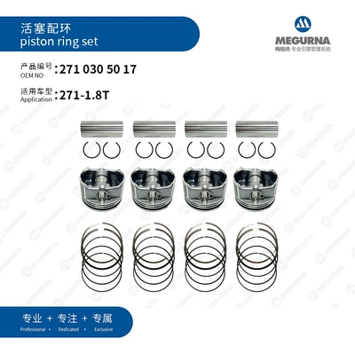 ring/001PI0016300/WG2043236/KS8579 – Piston, piston ring, piston pin