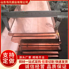 T2 紫铜排 高导电纯铜排 T1 紫铜排 C10900/C11050 铜排 厂家现货