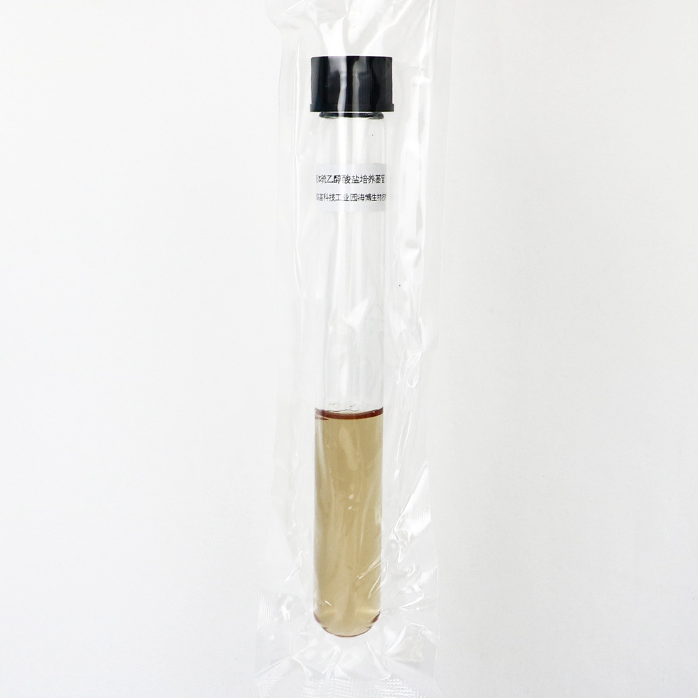 液体硫乙醇酸盐培养基管(FTG)(10ml)Thiolglycollate Medium Tube