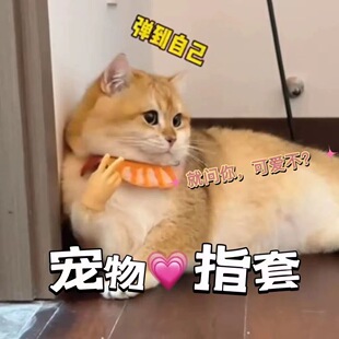 �ߏ����]؈צ��������ʯ�^�������������M��Цܛ�z؈��С��ָ��