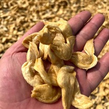 素鸡翅蛋白肉人造肉豆制品豆皮批发跑江湖地摊