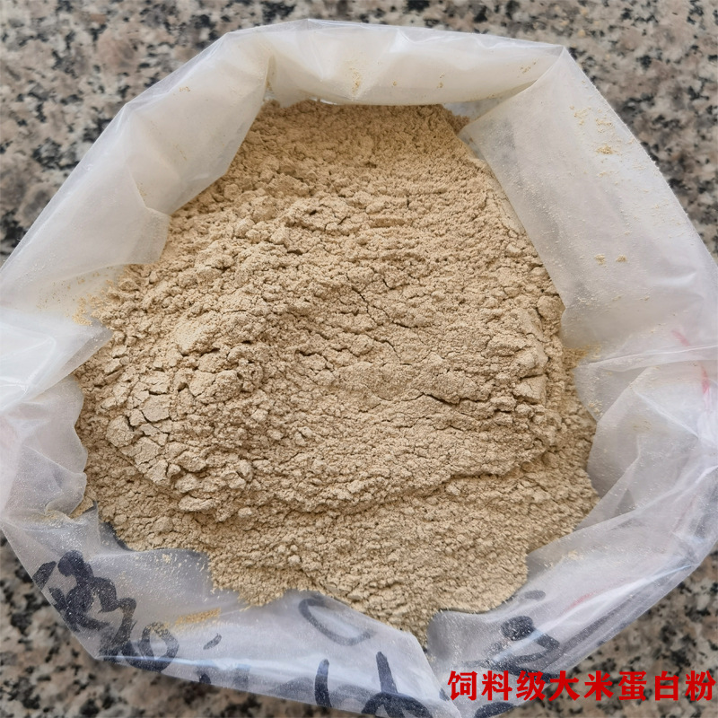 长期供应植物大米蛋白粉   蛋白60以上