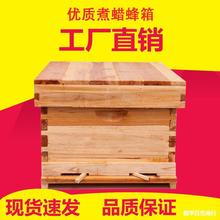 平底板塑料桶整箱气巢础杉木塑料小蜂箱工具蜂框大全木板意蜂箱蜂
