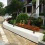 景观绿化带城市园林树池