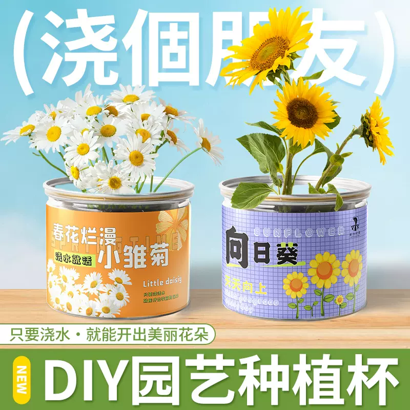 罐头植物种植小盆栽儿童种植罐室内好养桌面迷你向日葵含羞草