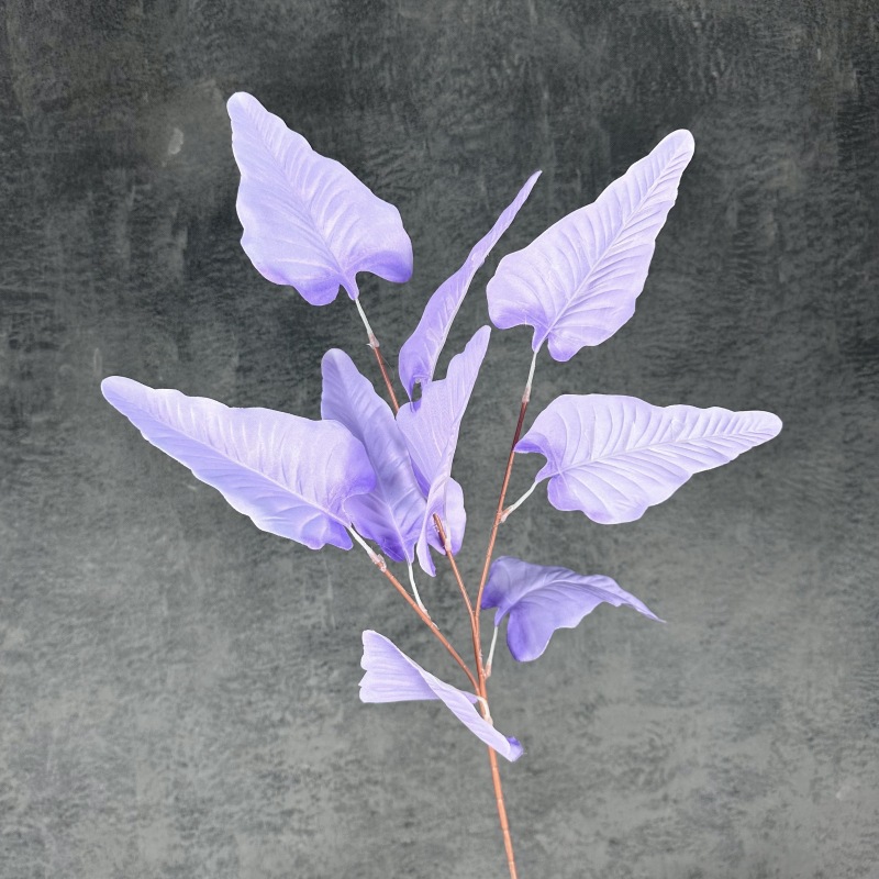 Purple Tabi