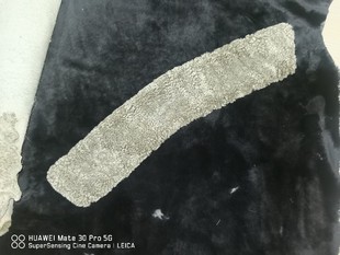 ����q���bë�I����˪ë�I���ë��ë�I����Ƥ�S����ëƤë�I��