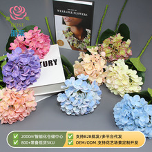 ���滨72Ƭܛ�z�ָн������Q�������cܛ�b�ٻ��S�����l