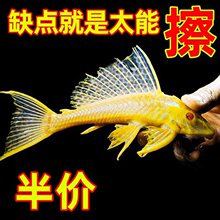 �����t��Ů���󷫟Ꭷ�~�~���坍�����~���������S��Ƥ�����B