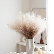 ���W�����JȔINS�p�ݲ������廨�b��쾰�ٻ�ë�q��Ȕ���͏d�[��