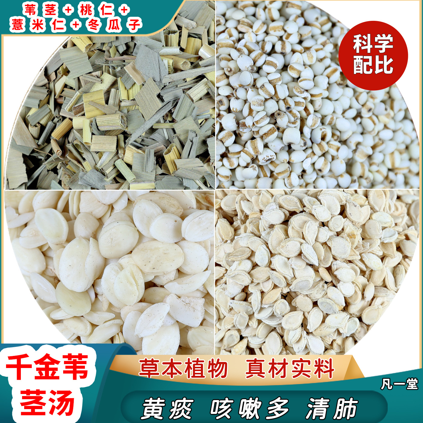 千金苇茎汤倪海厦推荐黄痰咳嗽多中药材薏仁冬瓜子桃仁煮水喝