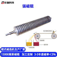 厂家生产除铁器磁辊强磁永磁磁力15000高斯磁选机设备配件强磁辊