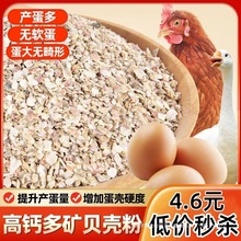 ؐ����ι�u��ؐ��������J���u���Z�g���B�F���a�}ĵϠ�۷���ܛ��