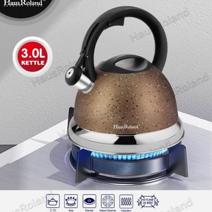Hausroland Cross-Border Stainless Steel Whistle Kettle Gas Open Flame Export Kettle 3L Whistle Kettle in Stock