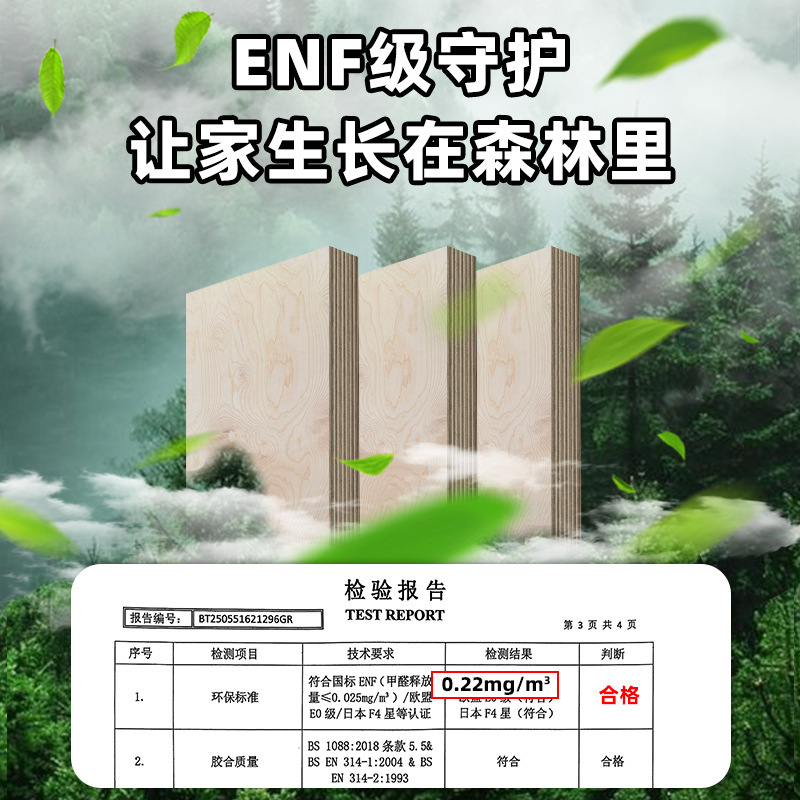 俄罗斯进口全桦木海洋板环保防潮胶合批发家具护墙规格齐全货源足|undefined