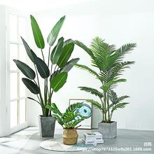 ���W����ֲ�����˽������B�����~�쾰�پGֲ�͏d�҃�����b�����