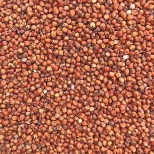 ������؛�|���t������Ƥ����ᄾ�ᄴ�ԭ�ϼt����������һ�����l