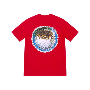23SS Blowfish Tee�����~�D��Box Logo��ĸ����T��A�I���������