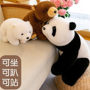 ��ͨſſ��؈�������w�ɐ�ë�q��߱��O������ܛ��ë�q��ż�Y��Ů