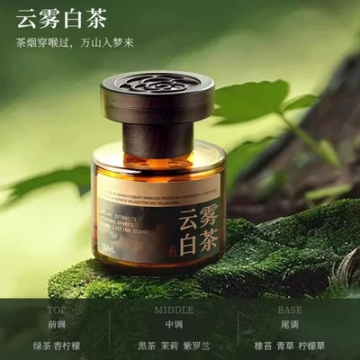 Car Perfume Aromatherapy, Ornament Car Air Freshener Odor - songshan-mirror-aromatherapy-white-tea
