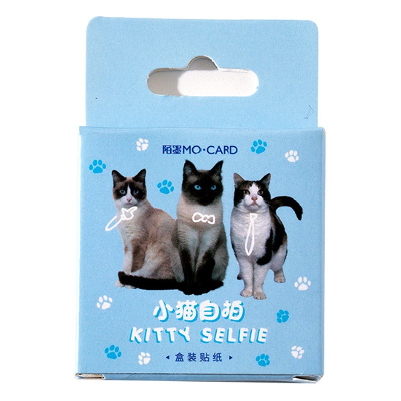 Mo mo gatito selfie en caja pegatinas de dibujos animados lindo gato DIY diario teléfono decorativo sellado Collage