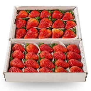 2����]�F؛�Fժ�F�lţ�̲�ݮˮ�����l���r��ݮ���r��ݮ