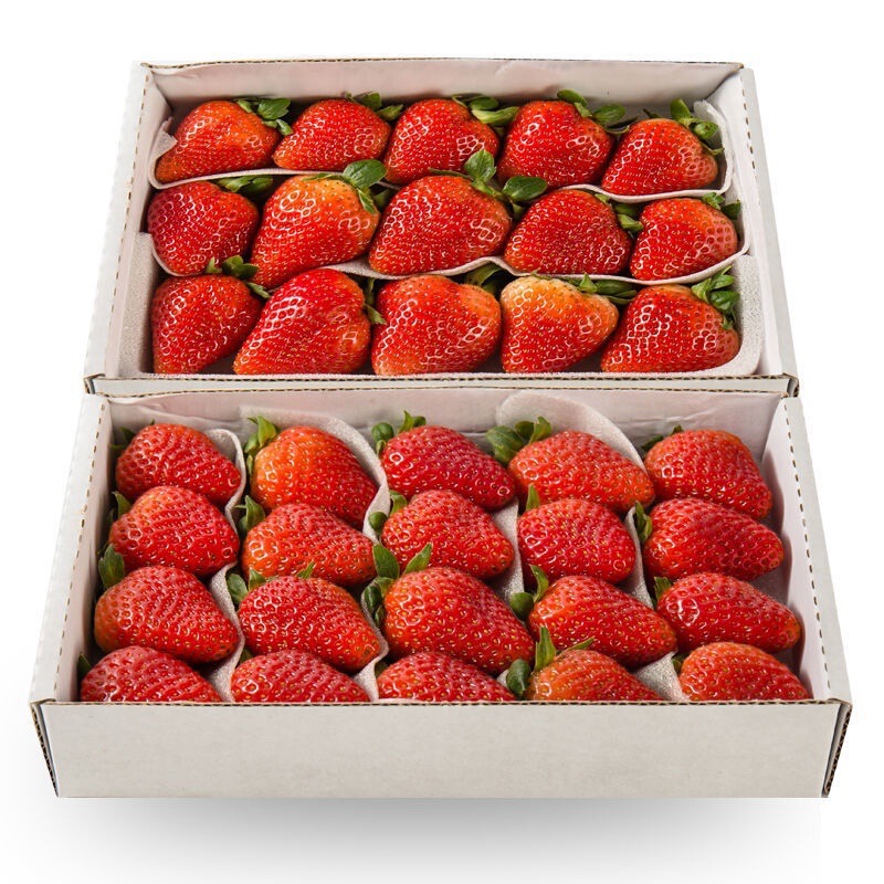 2kg postage spot pick now milk strawberry fruit wholesale fresh strawberry fresh strawberry