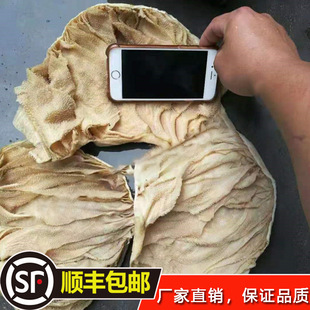 ��؛ţ�����Ʒ���l��ţ�ǽ��X�ǰ��~�׺�ǧ�Ӷǽz�rë�ǵװ���