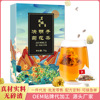 OEM加工定制 菊花决明子茶袋泡花茶金银花牛蒡桑葚袋泡茶组合茶|ms