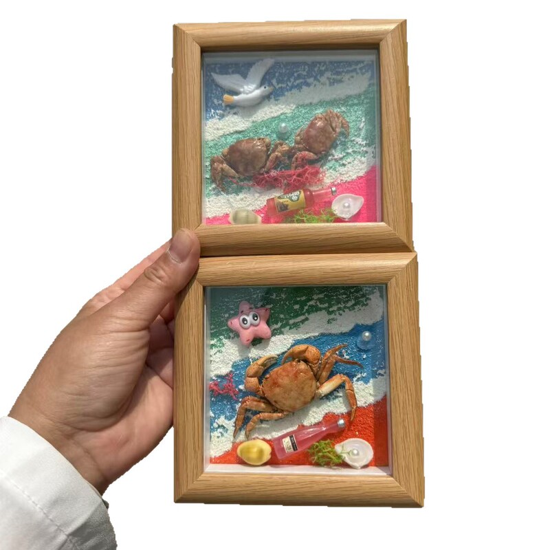 送料無料天然法螺貝塩漬け魚ナマコカニ標本フォトフレーム装飾品海辺クリエイティブギフト誕生日ギフト|undefined